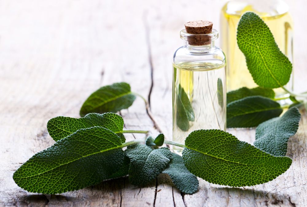 Homeopatía en Guatemala | Homeopatas | Dra. Blandina Nutrióloga